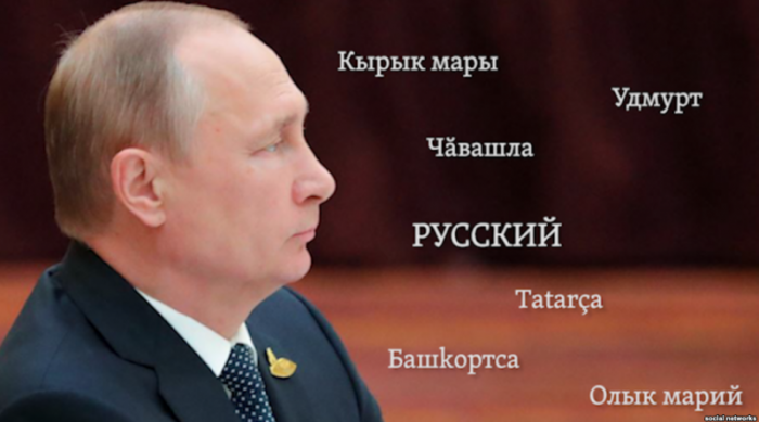 Путин-и-языки--800x445