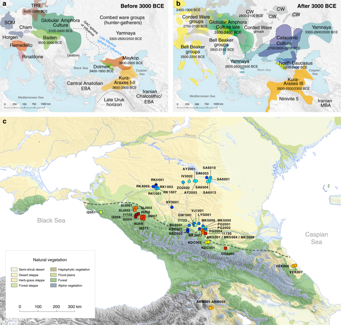 Ancient human genome-wide data from a 3000-year interval in the Caucasus corresponds with eco-geographic regions